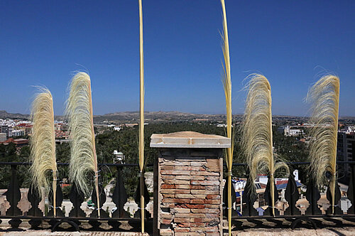 Palmes al campanar de Santa Maria d'Elx, amb el palmerar de fons