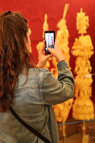 Fotografiant les palmes