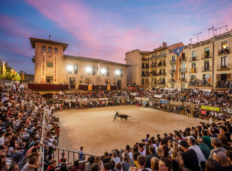Festa major de Cardona