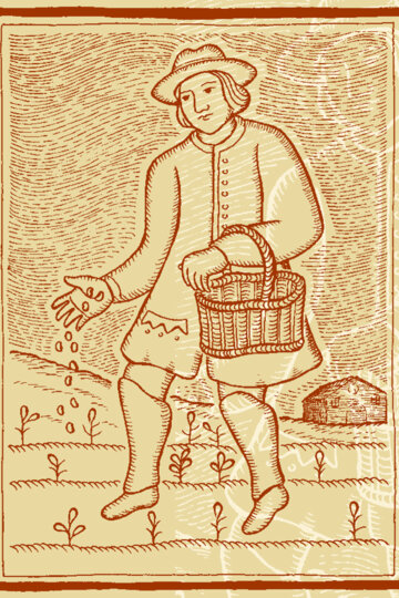 Il·lustració del pagès Medir
