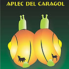 Cartell de l'Aplec 2005