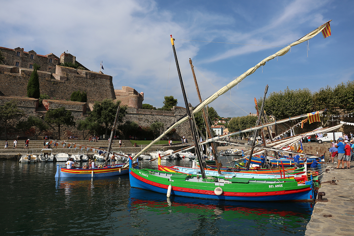Sardinals a Cotlliure