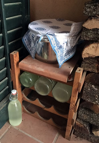Elaboració de xampanyet de saüc