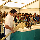 El procés de la cuita