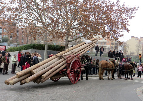 Carro de bigues
