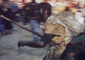 Un dels óssos baixa corrents a empaitar la gent
