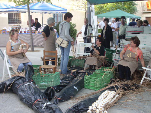 Les cornellenques mostren com s'enforquen els alls