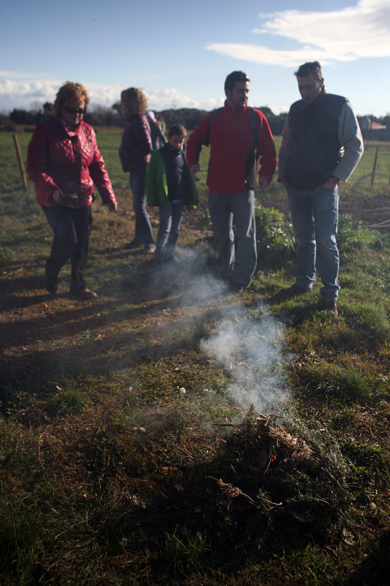 Crema d'herbes remeieres