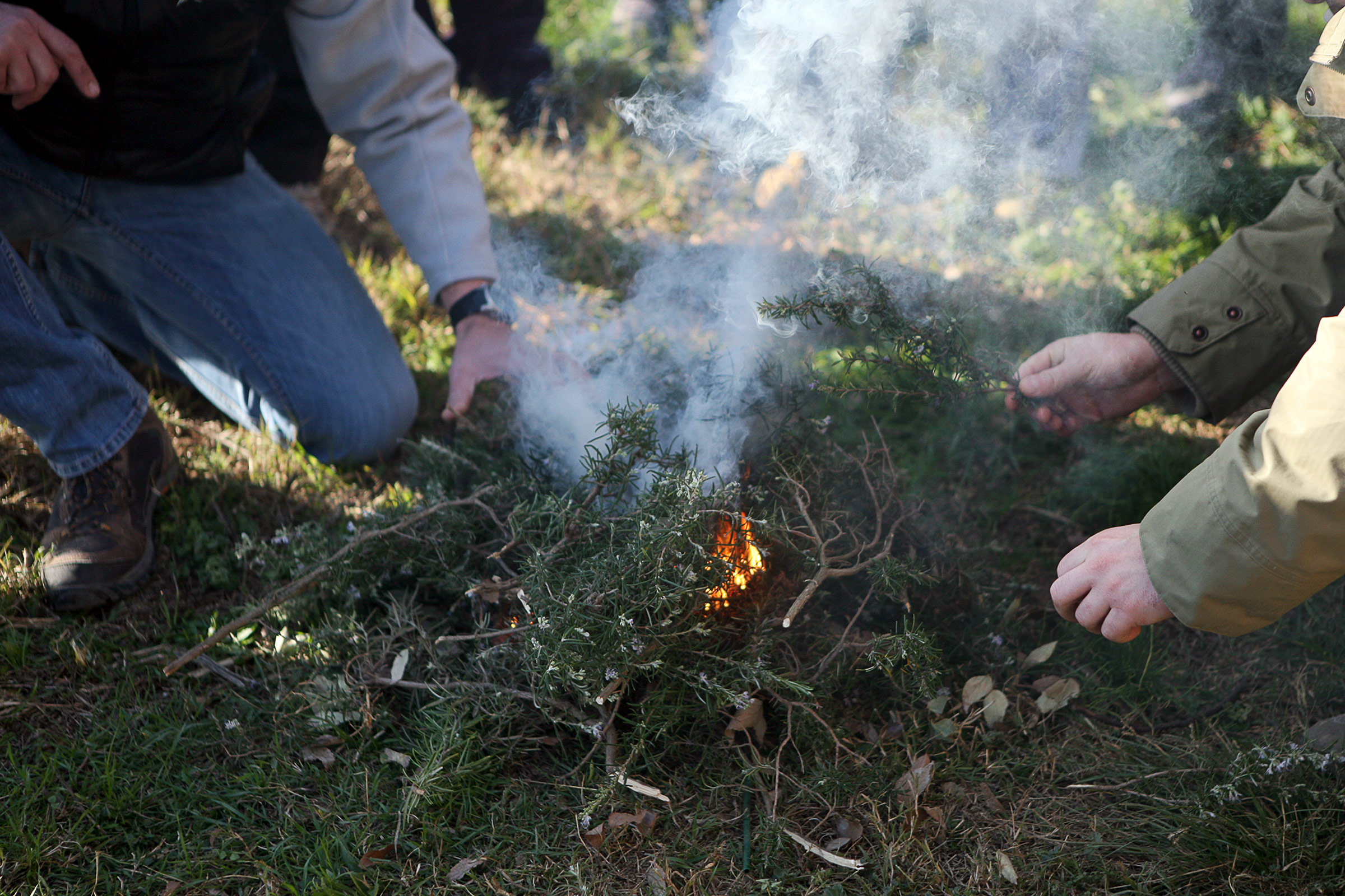 Aplec de Santa Llúcia de Tonyà