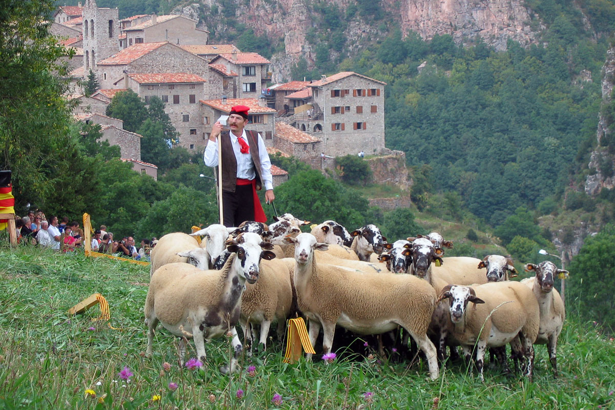 El pastor amb el ramat d'ovelles