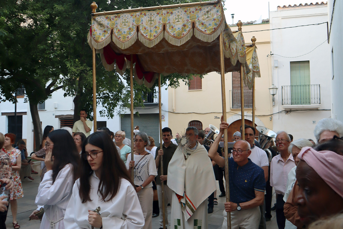 La custòdia sota pal·li