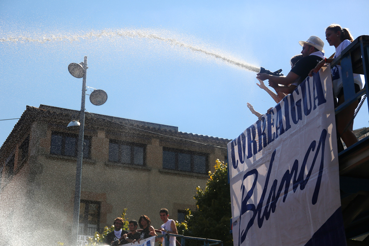 Mànega d'aigua