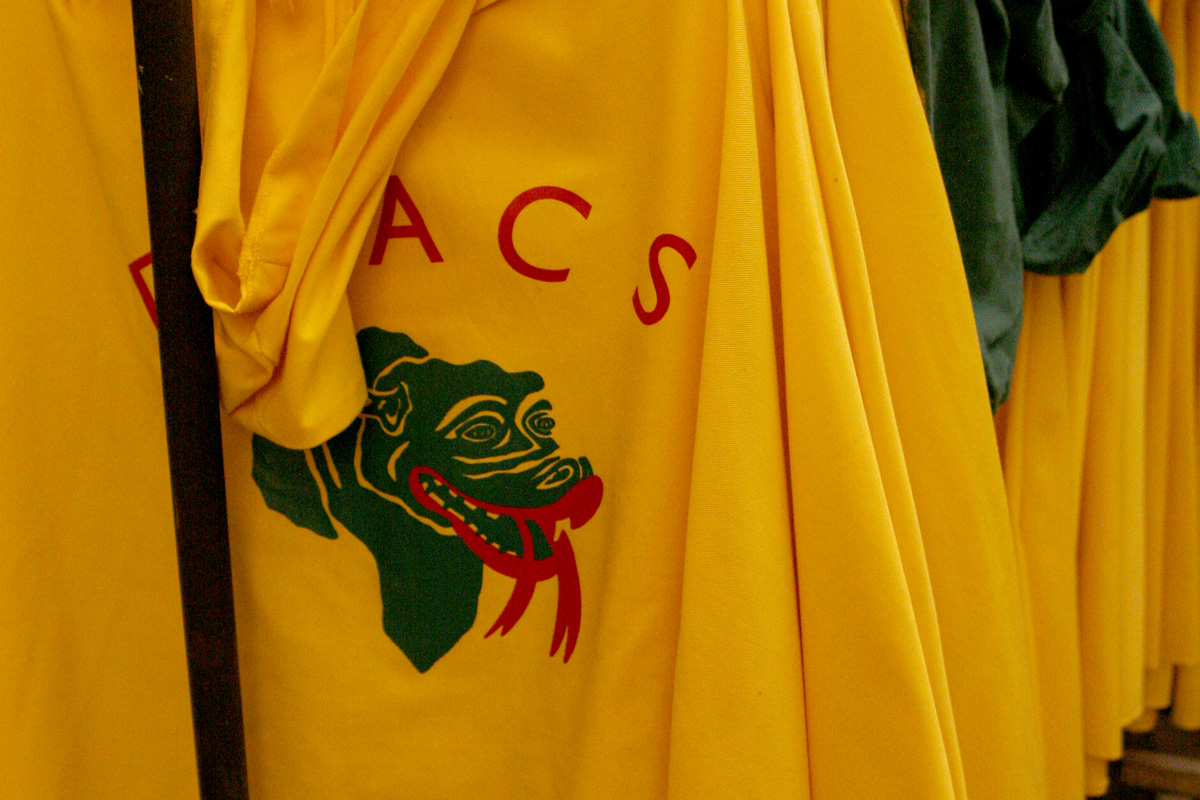 Indumentària dels Dracs