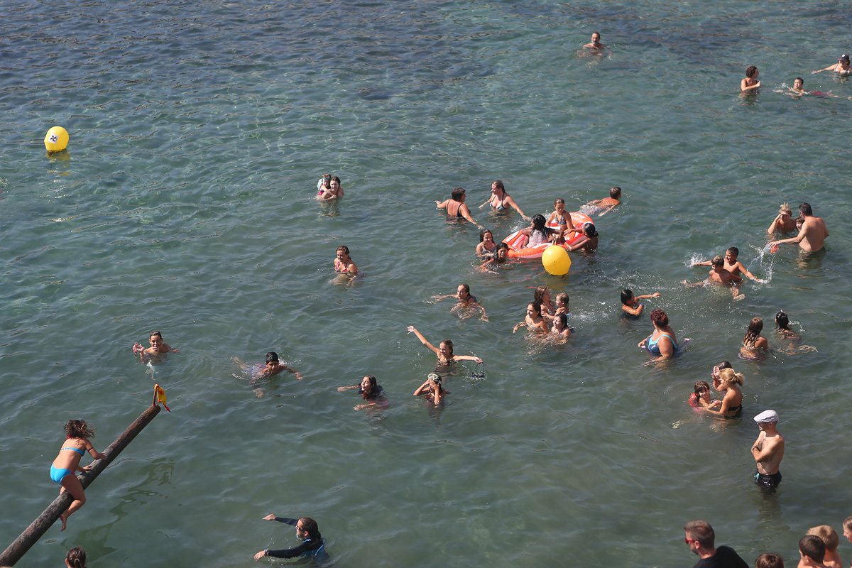 Intentant arribar al pollastre