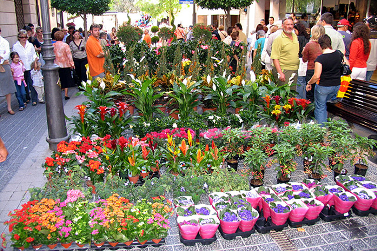 Parada de plantes