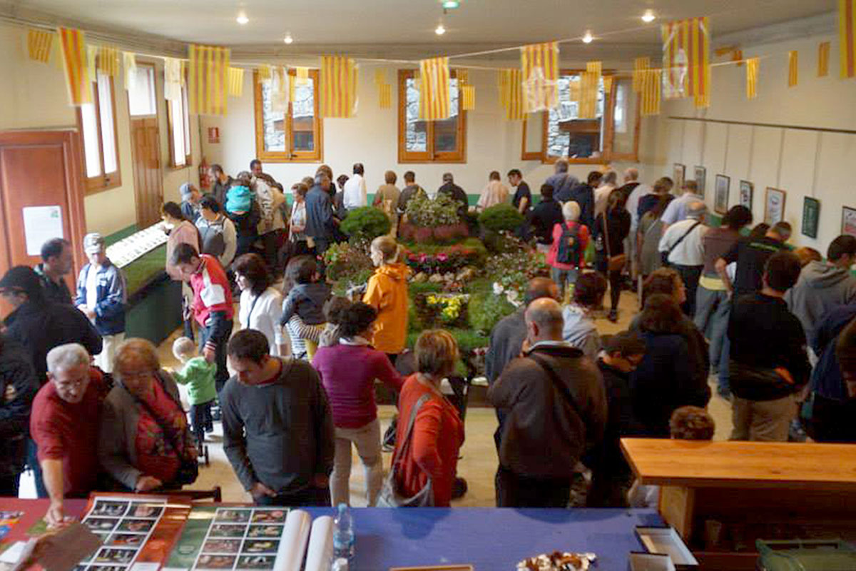 Exposició de bolets