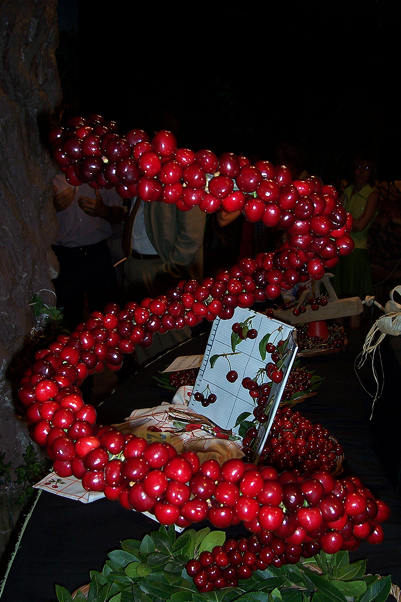 L'Exposició de cireres