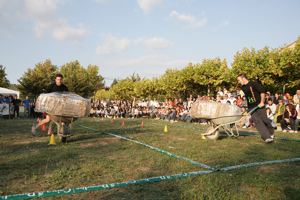 Transport de bales de palla