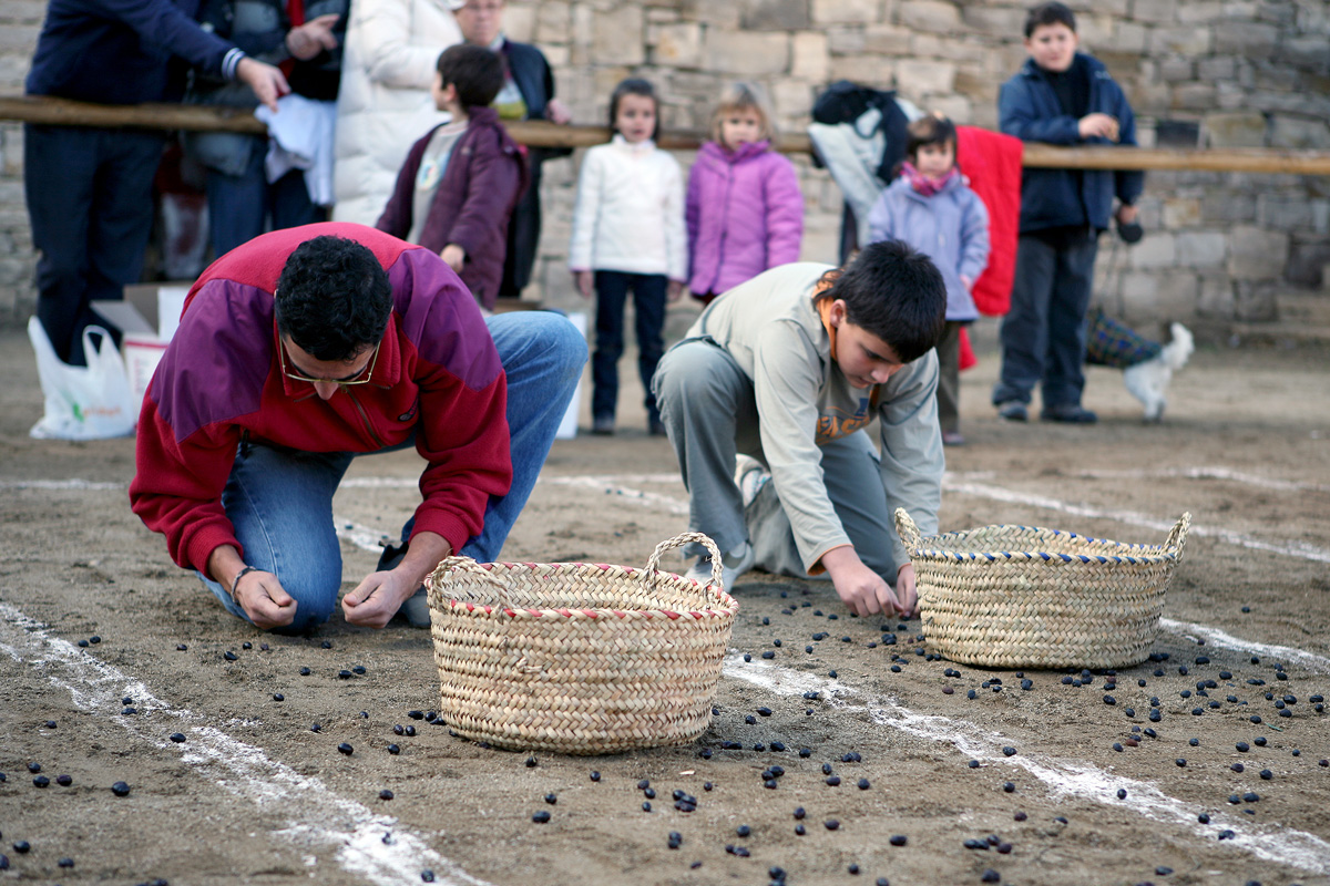 Concurs de plegar olives