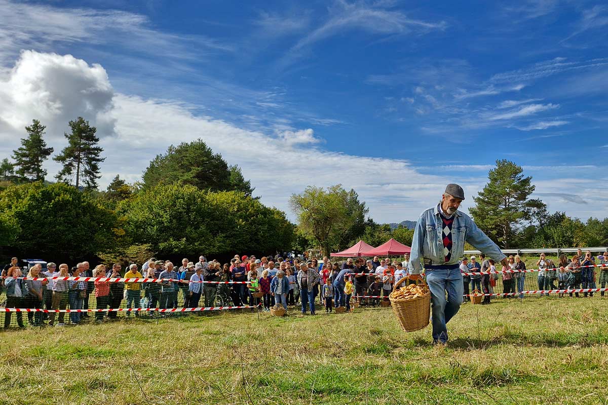 Participant del Concurs de Boletaires