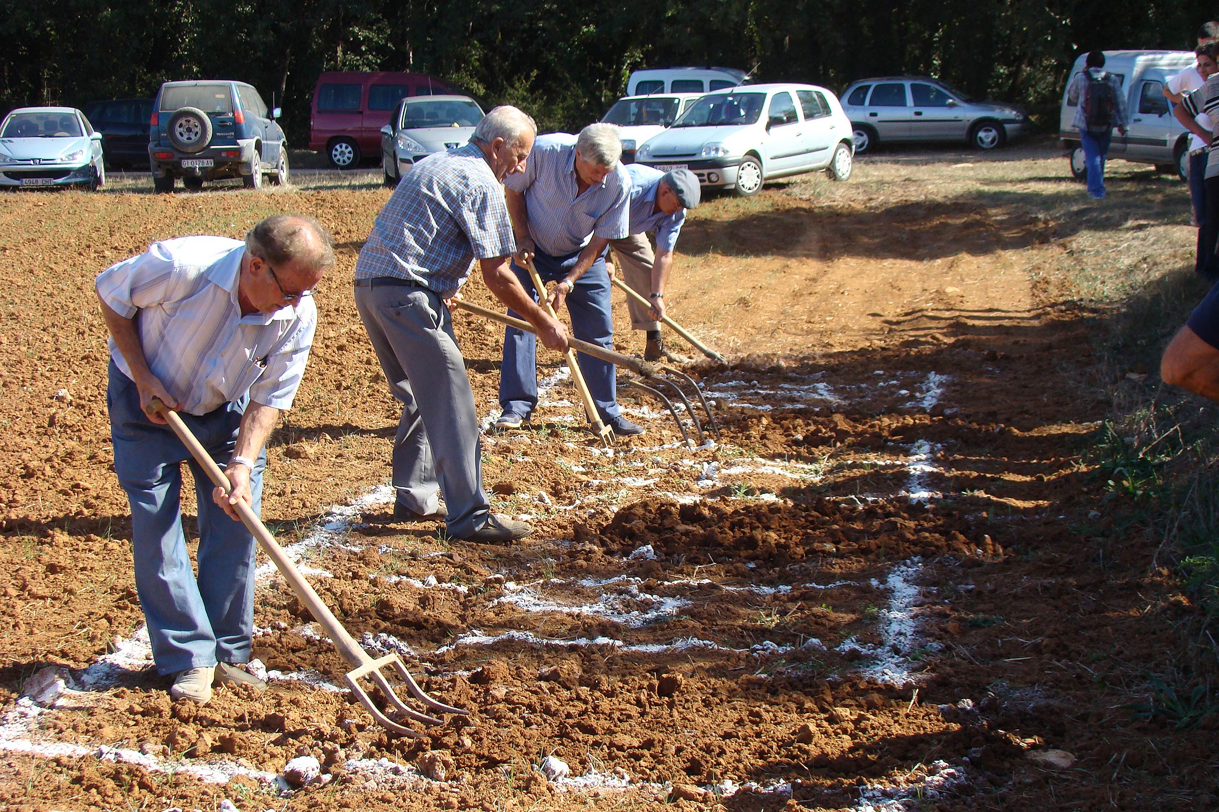 Festa de Sant Galderic al Pla de Martís