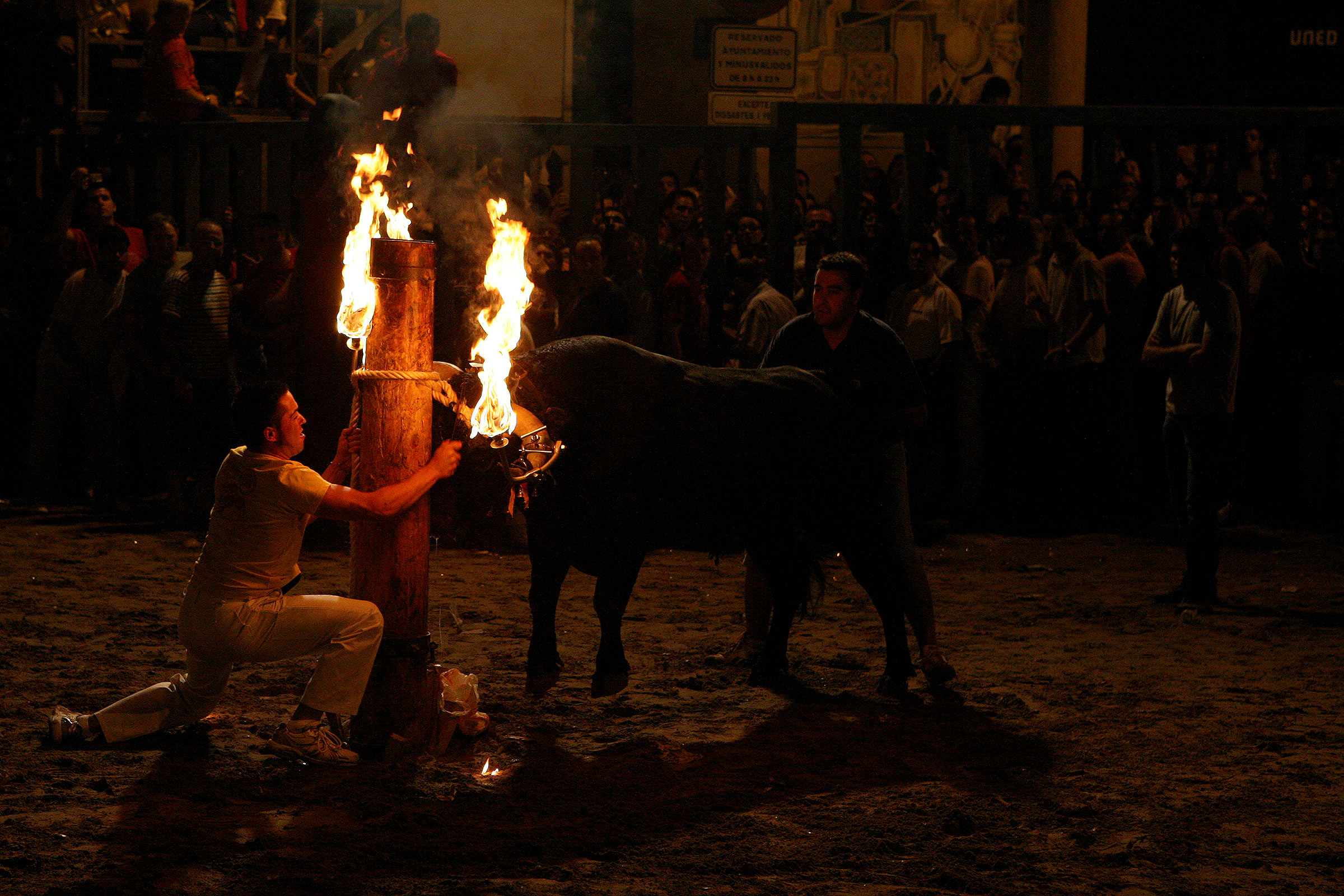 Festes de la Mare de Déu de Gràcia de Vila-real