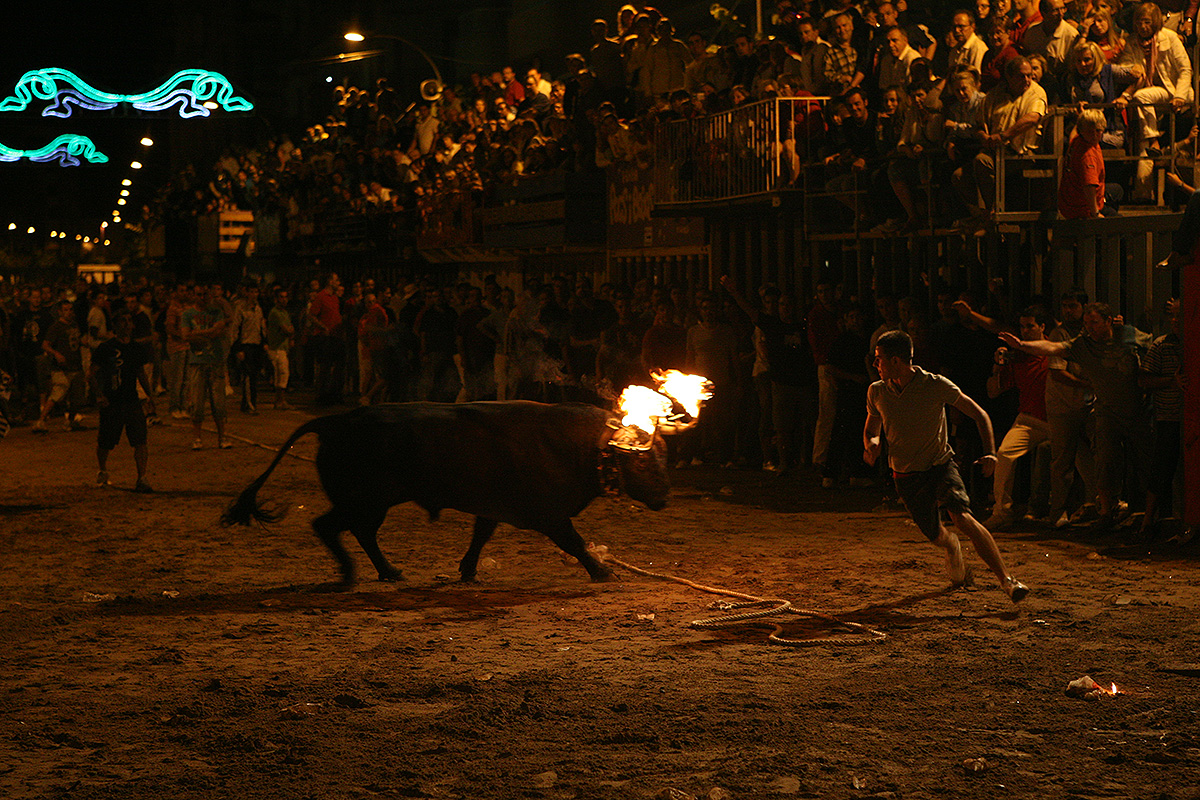 Intentant esquivar el bou i el foc