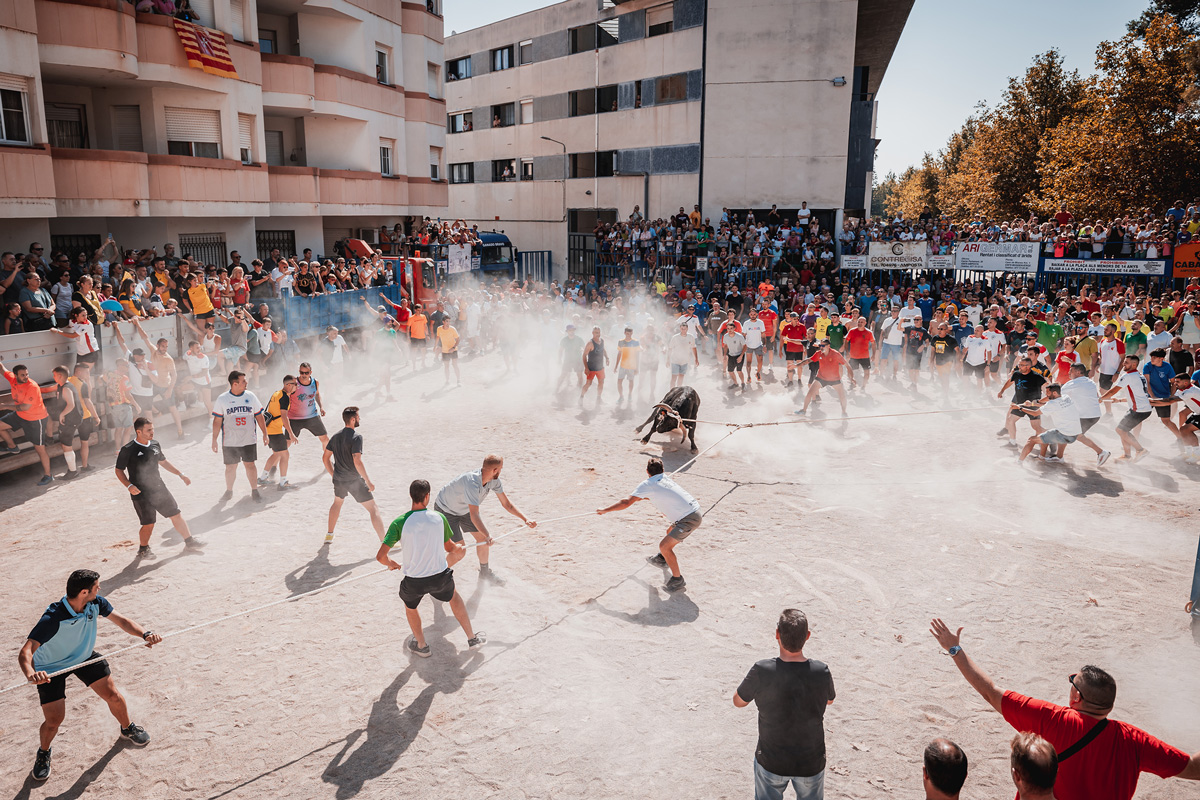 Els bous a la plaça
