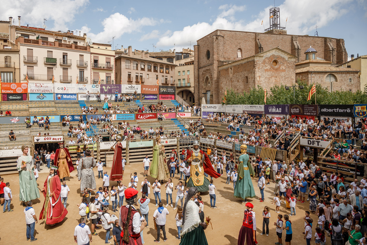 Trobada de gegants