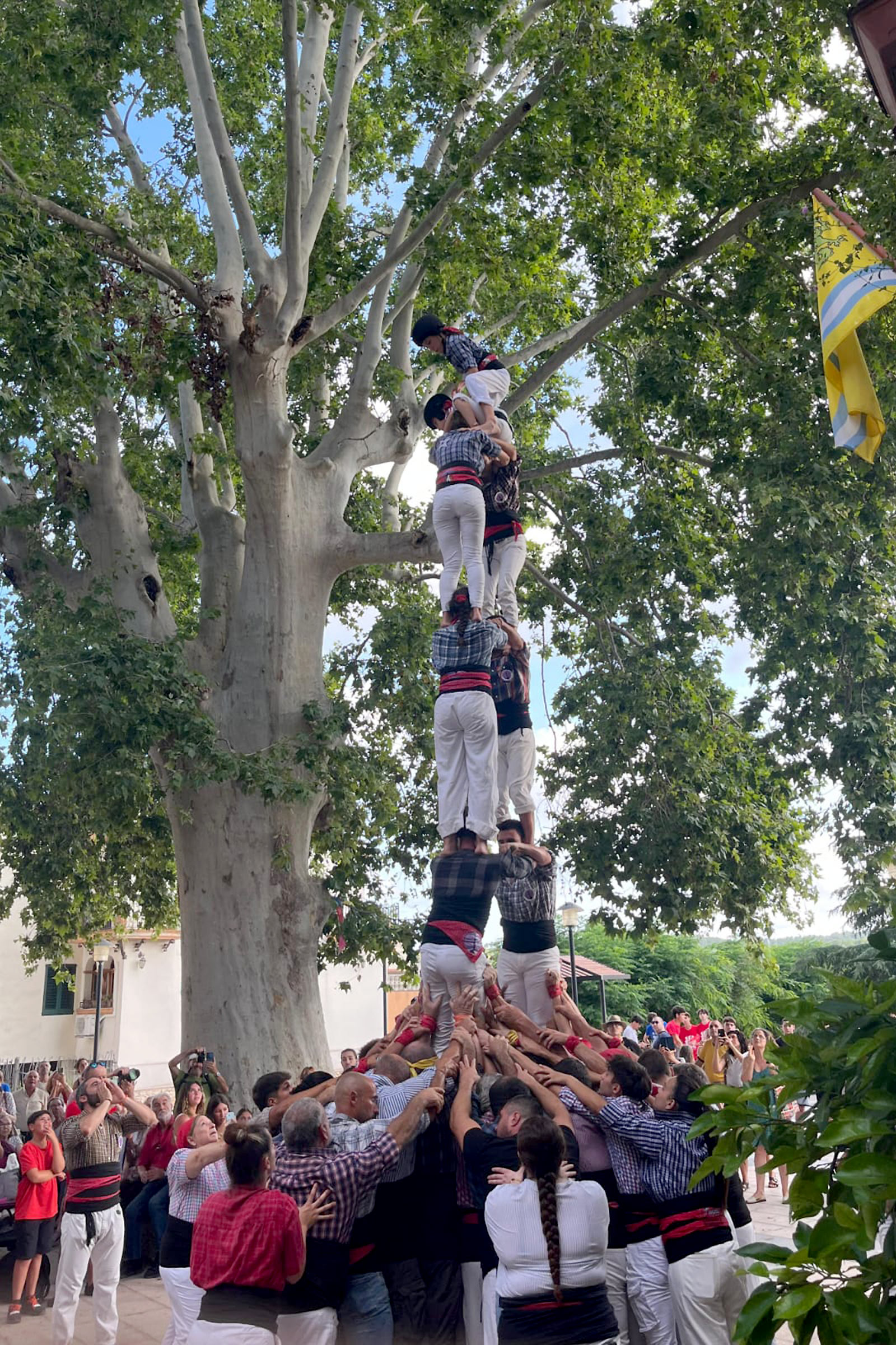 Diada castellera dels Espigolats. Foto: Guifré Rius