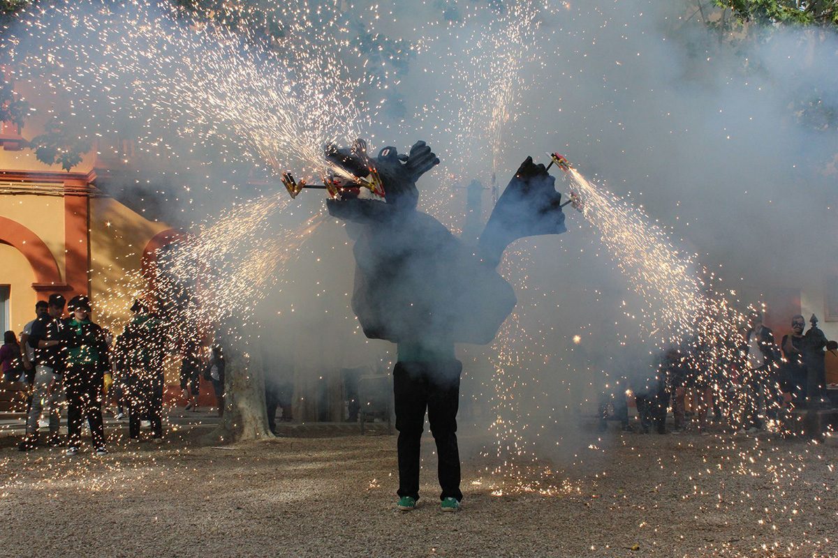 Drac de Sant Martí Sarroca. Foto: Agrupació de Bestiari Festiu i Popular de Catalunya