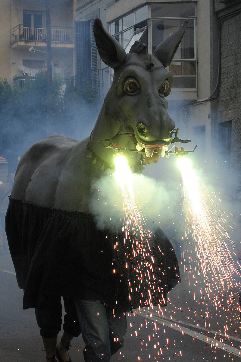 El Ruc de la Granada