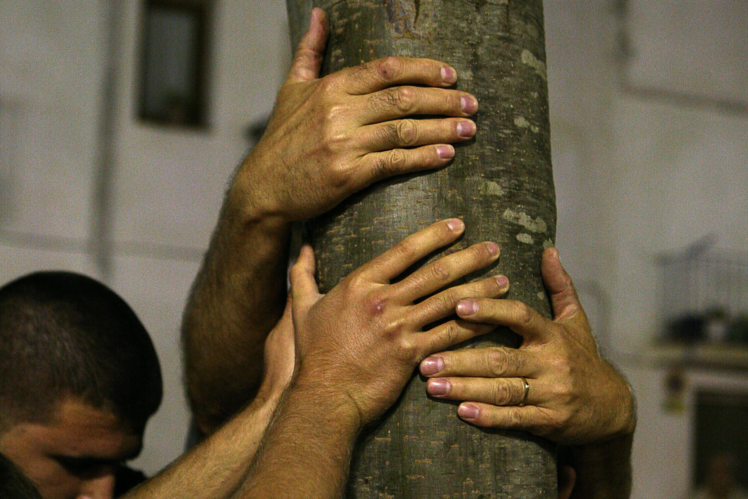 Festa de l'albergínia a Amer