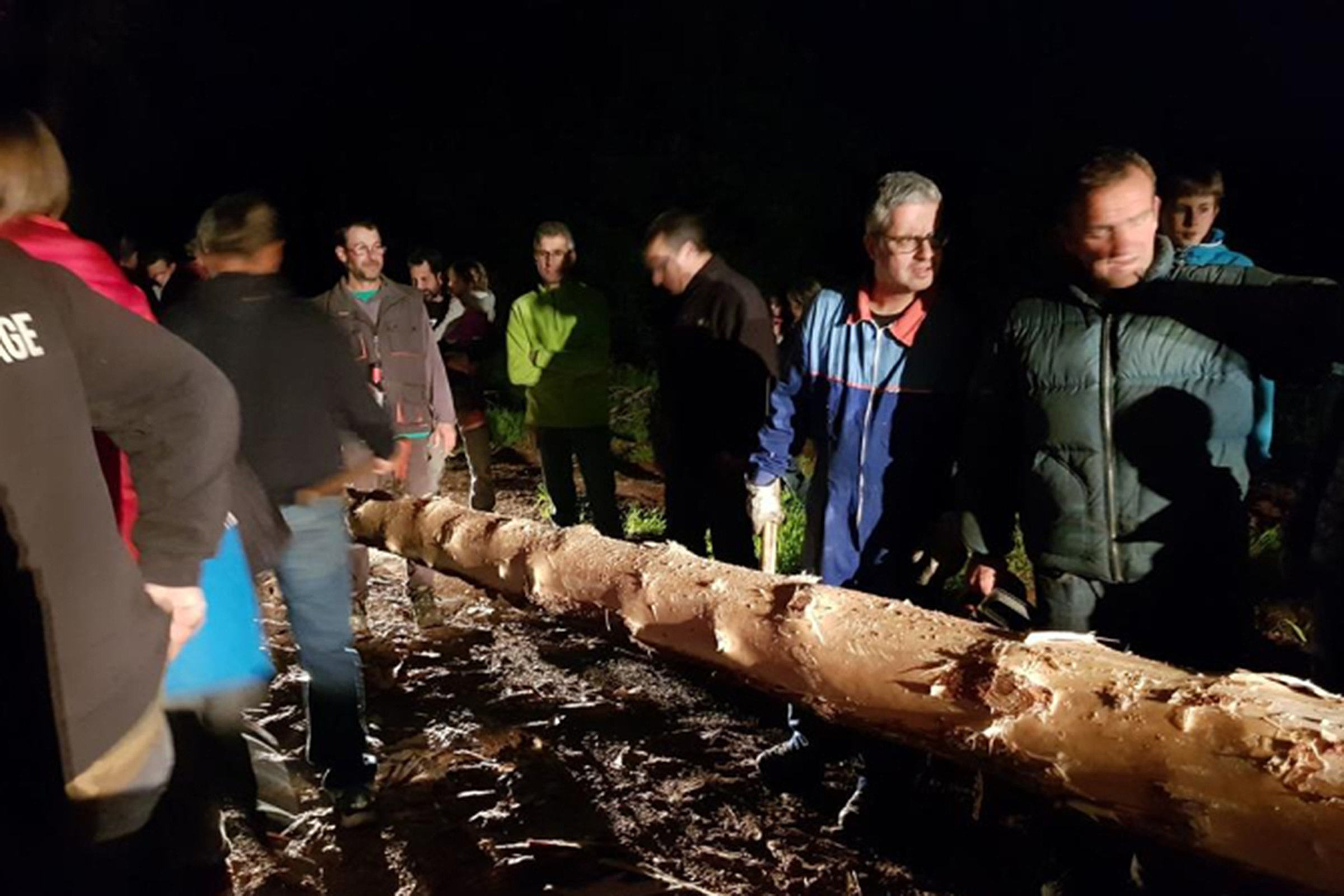 Festa del pi de maig d'El Pla de Manlleu