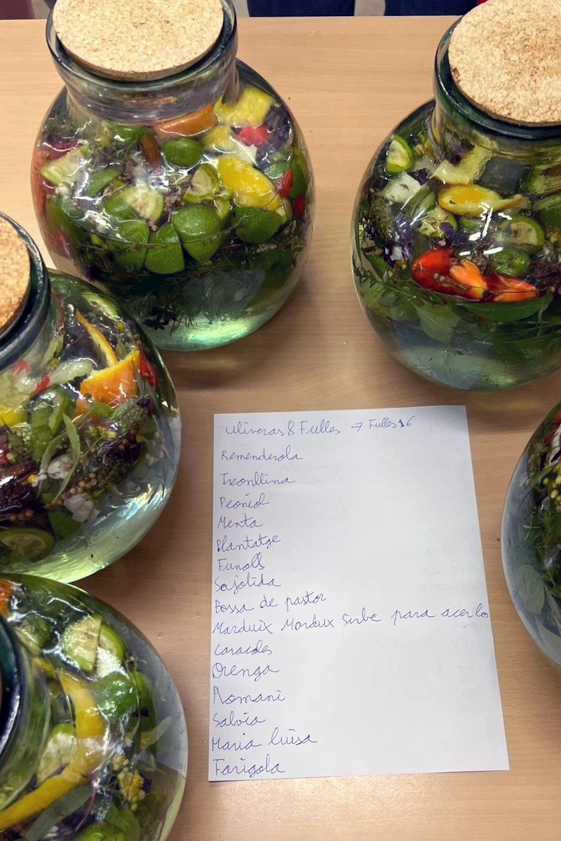 Els ingredients per fer ratafia