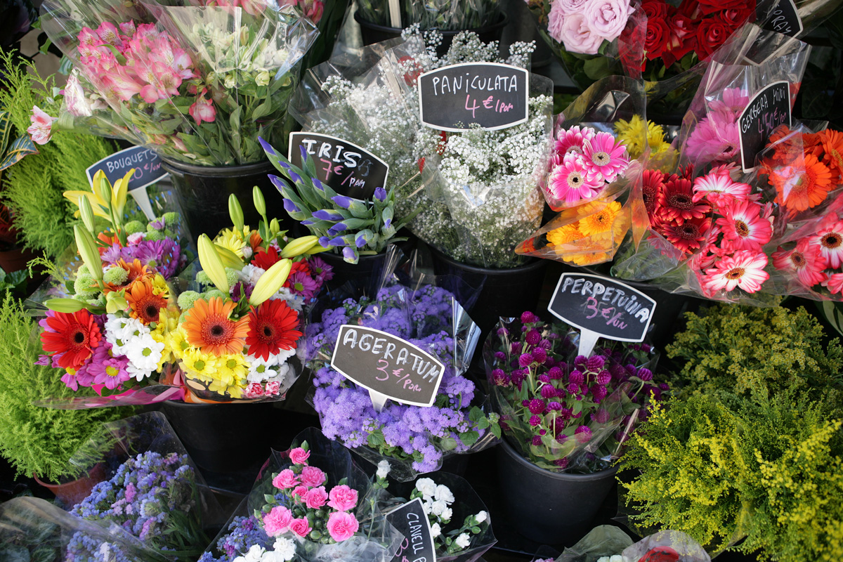 Les flors de La Rambla