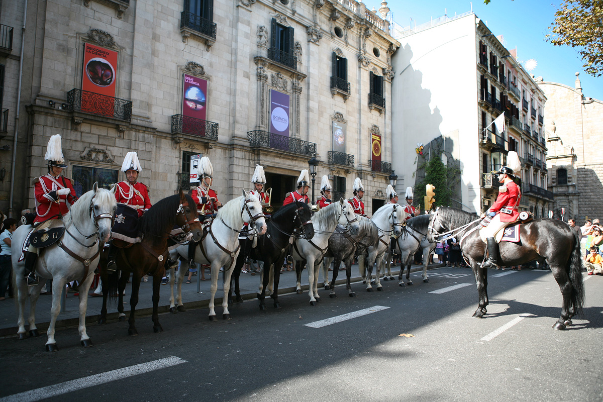 Guàrdia urbana muntada