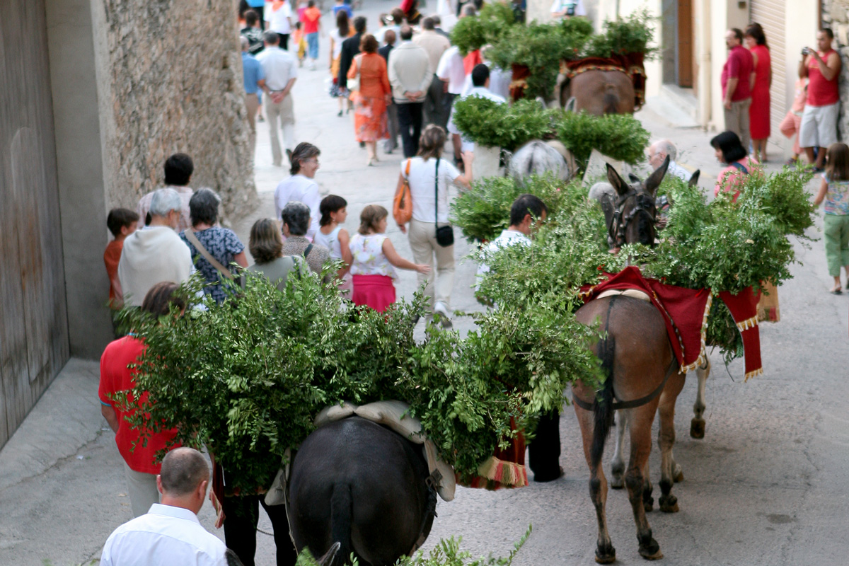 Les cavalleries i els portants