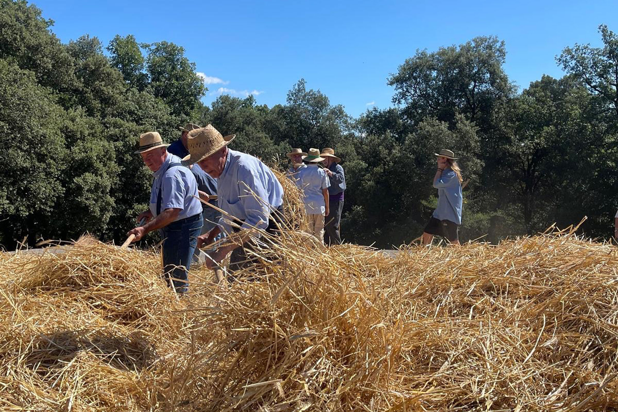 Festes del Segar i el Batre a Avià