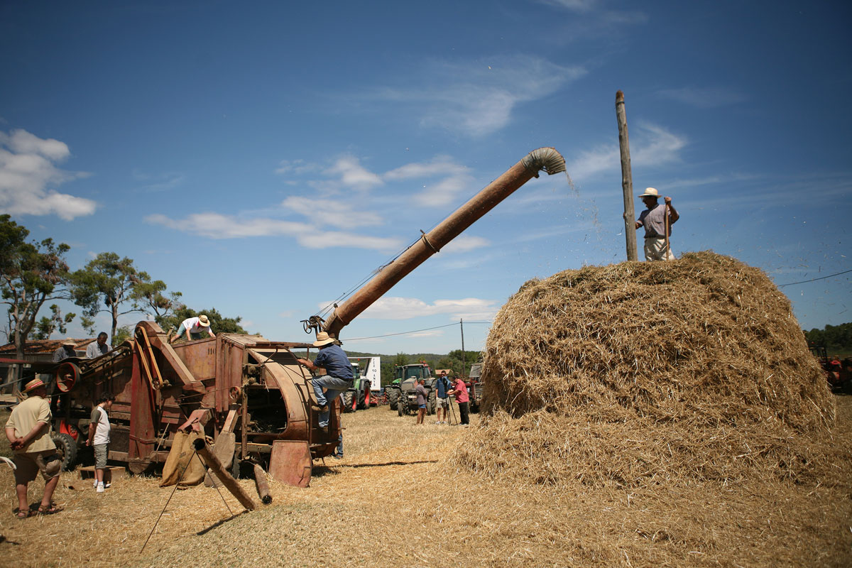 Construcció del paller