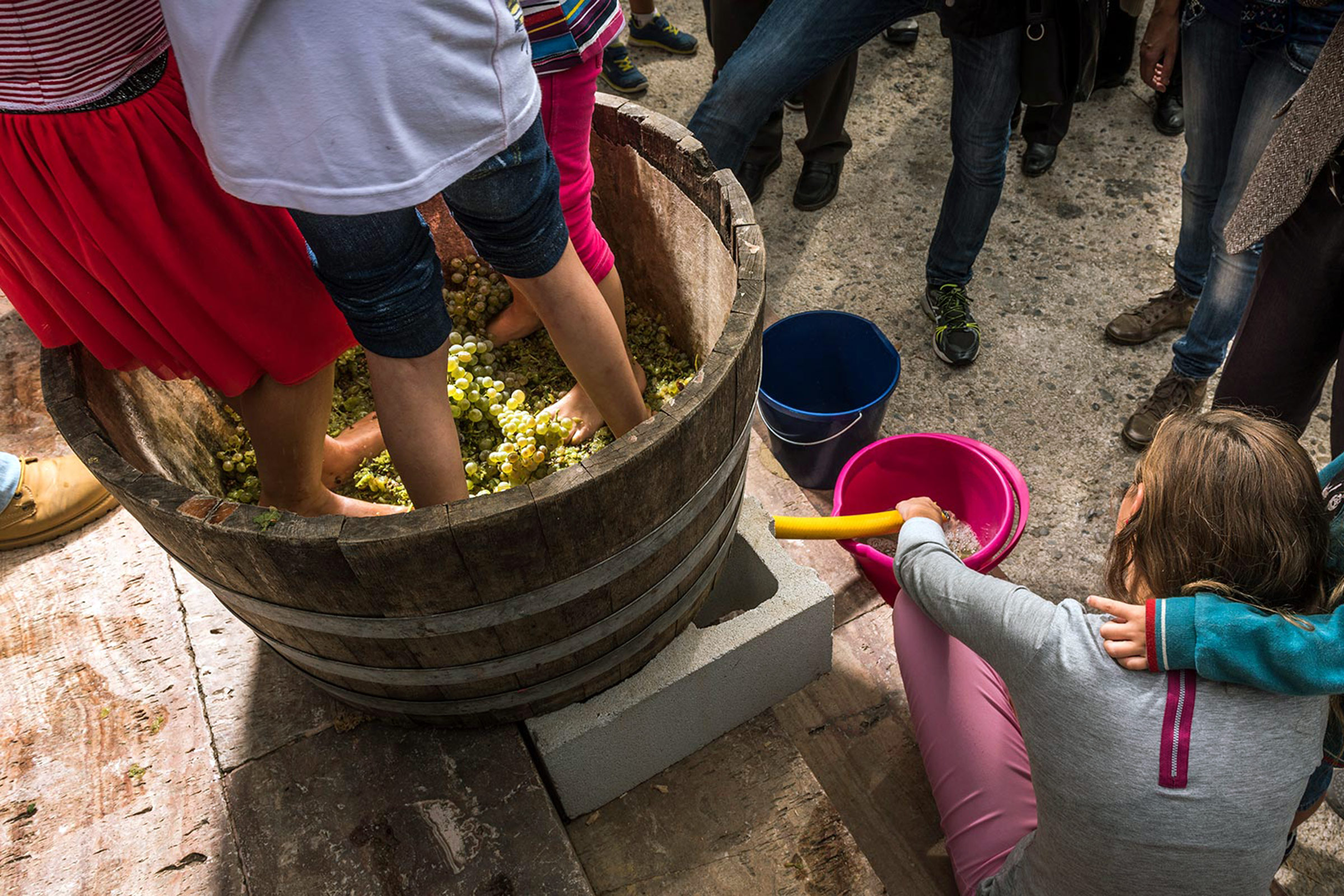 Festa de la Verema del Bages. Foto: Oscar Rodbag
