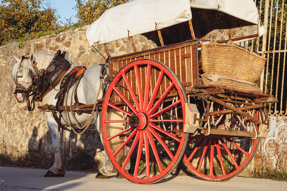 Carro per transportar les samals