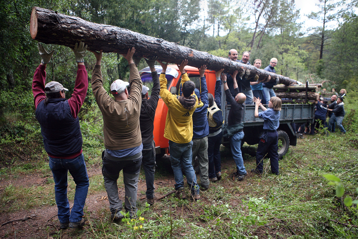 Ritu de l'arbre a Amer. Foto: Manel Carrera i Escudé