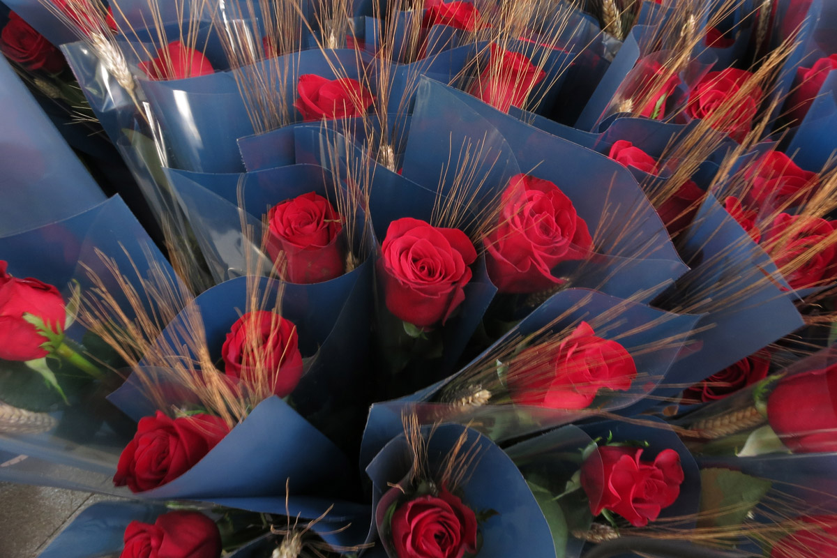 Roses