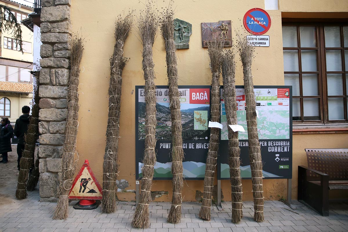 Les faies a Bagà. Foto: Manel Carrera Escudé