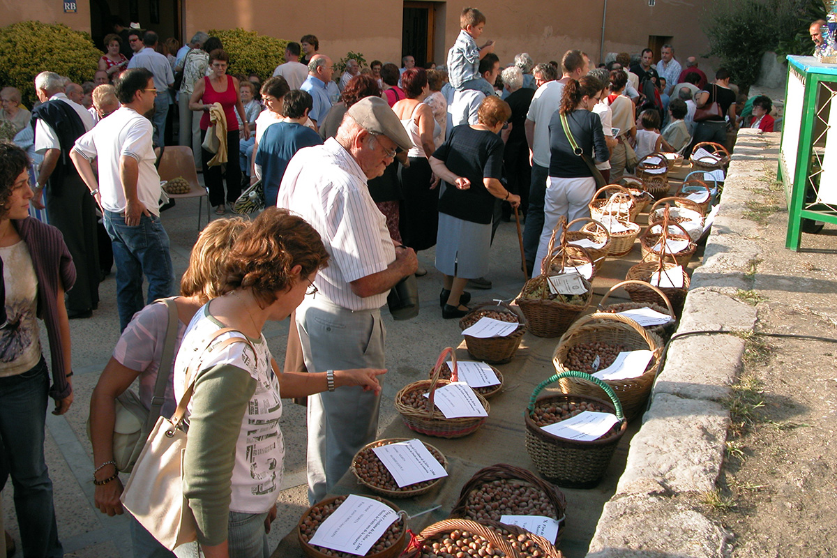 Cistells plens d'avellanes