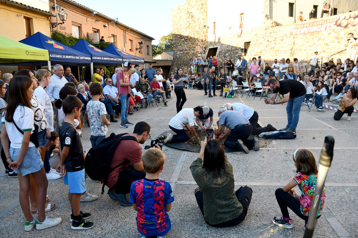 Concurs d'esclovellar avellanes