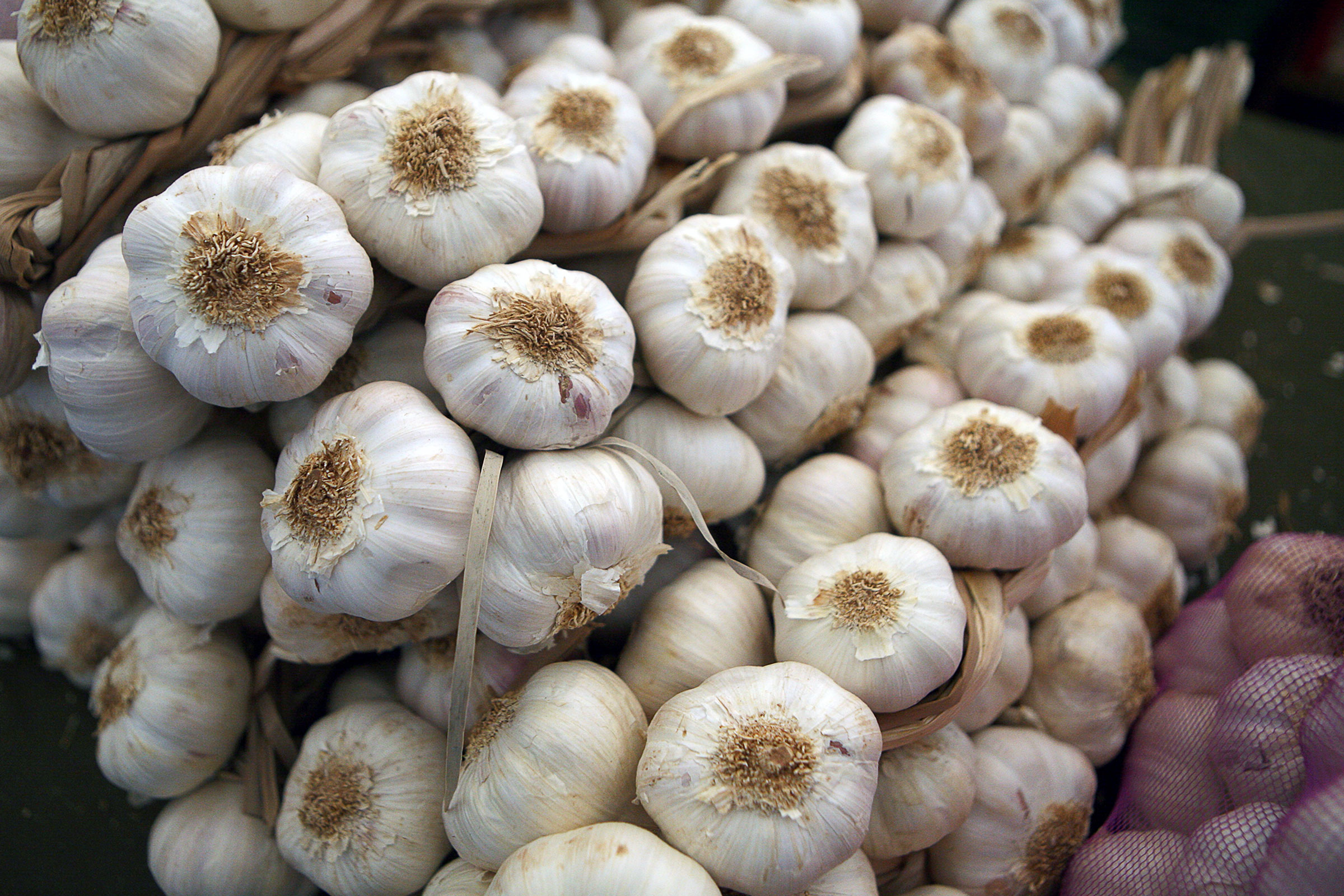 Fira de l'all a Cornellà del Terri