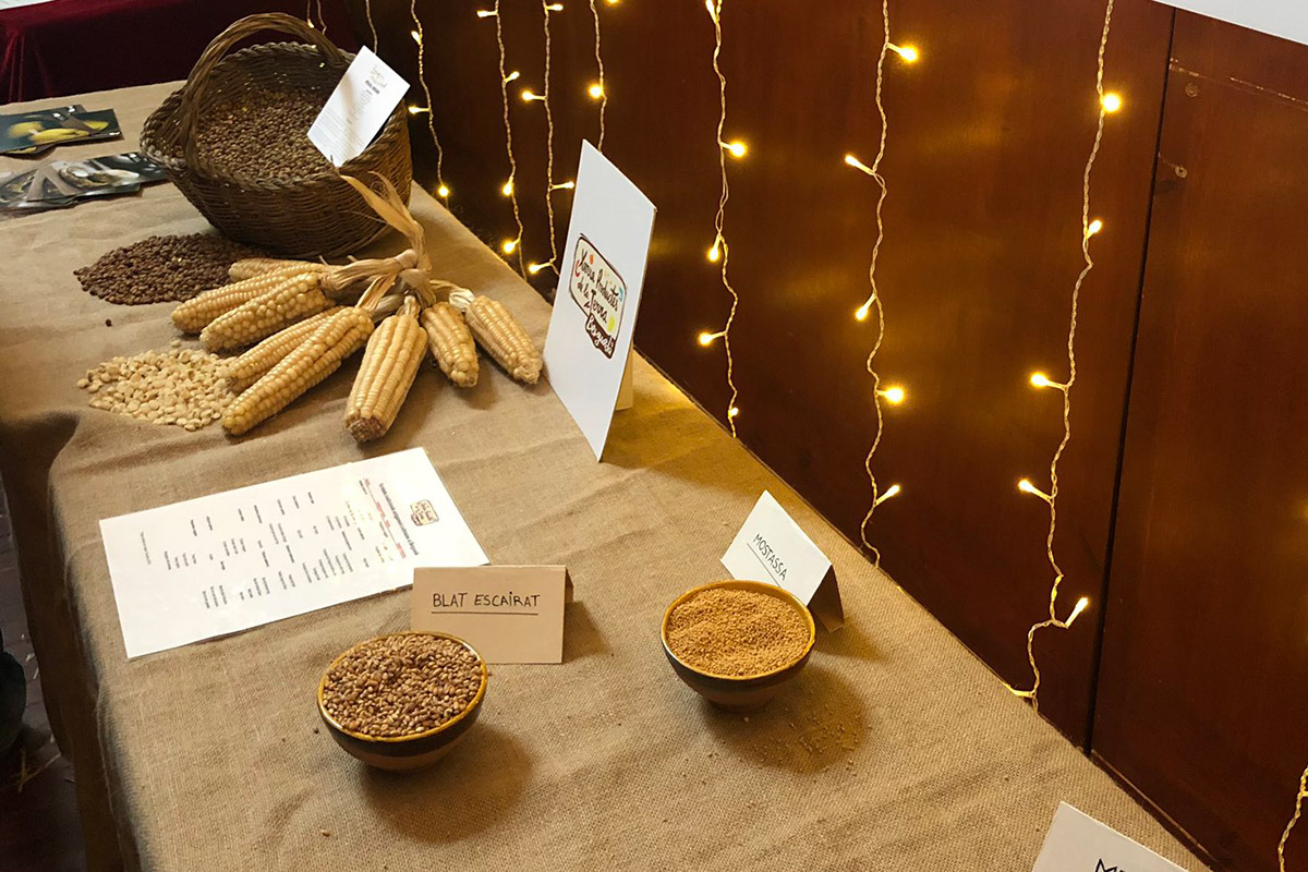 Blat de moro escairat