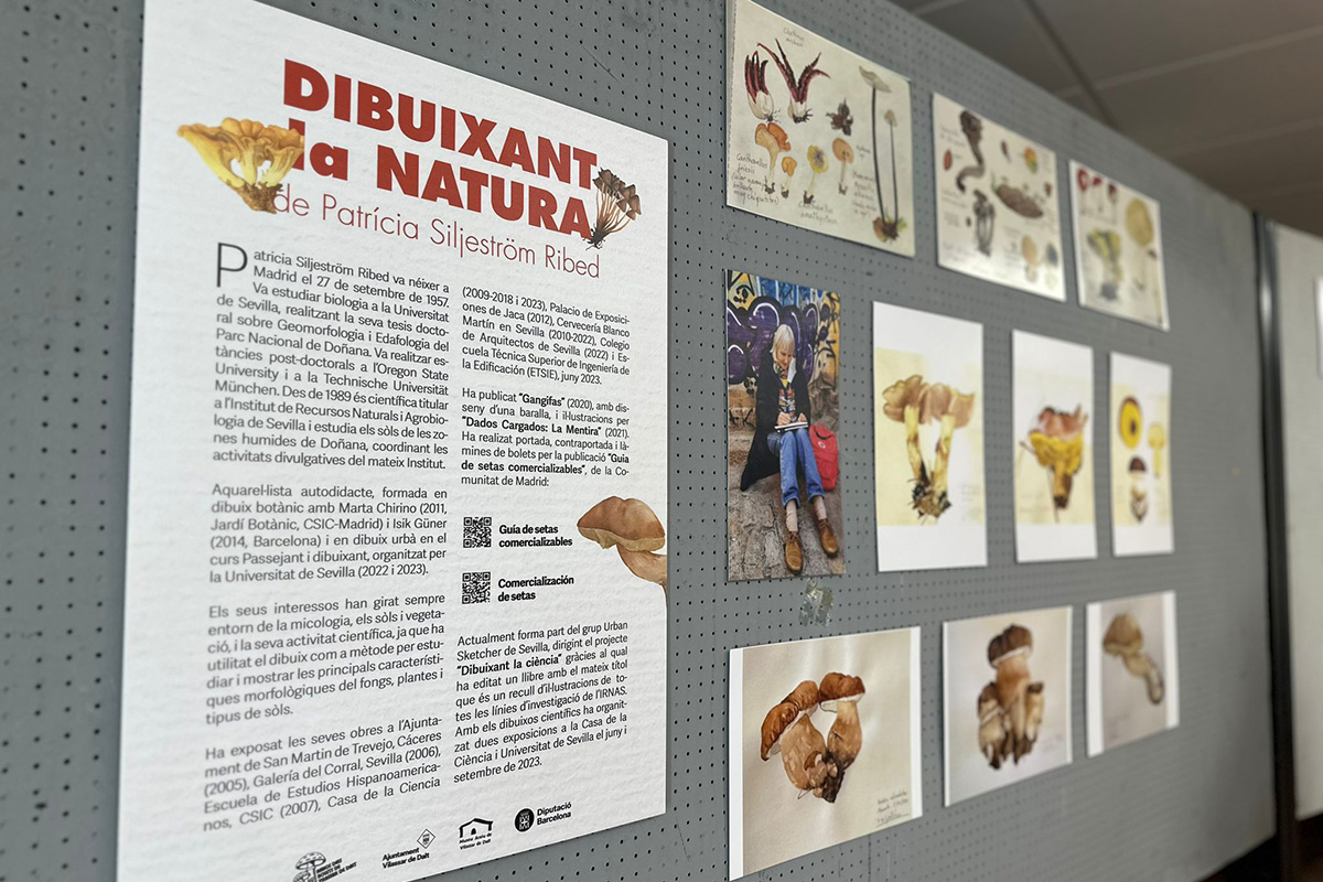 Exposició
